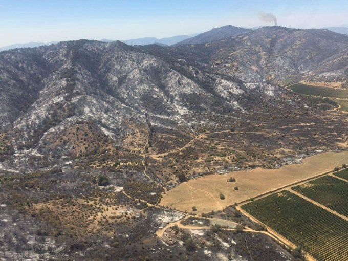 La industria forestal y los incendios que no paran