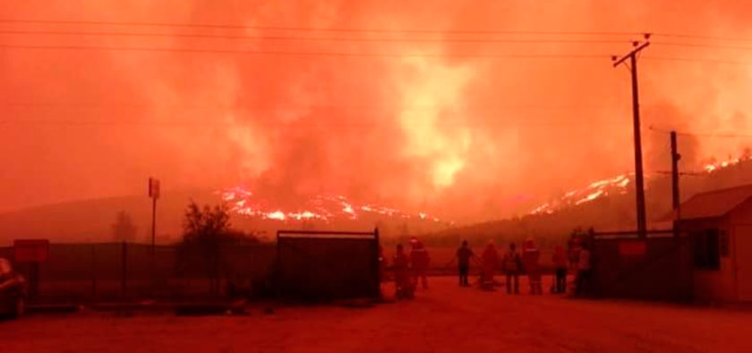 Oleada de incendios forestales consumen zona central de Chile
