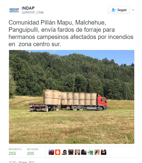 Comunidad mapuche Pillán Mapu envió toneladas de forraje en ayuda a campesinos