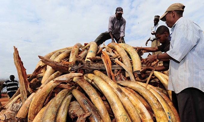 A fin de año China habrá clausurado y prohibido todo su comercio de