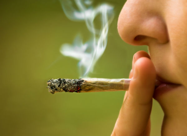 Acusado de tráfico de marihuana es absuelto al verificarse uso terapéutico