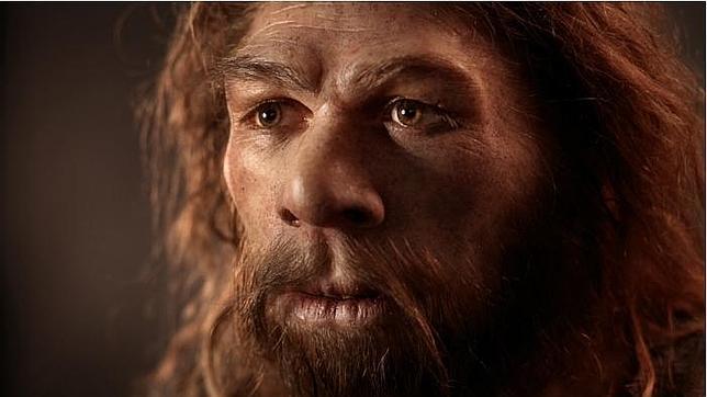 Investigadores hallan evidencia «irrefutable» de que los neandertales fueron caníbales