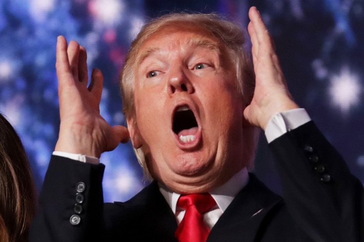 Donald Trump exhibe los signos clásicos de enfermedad mental, incluyendo “NARCISISMO MALIGNO”, según expertos.