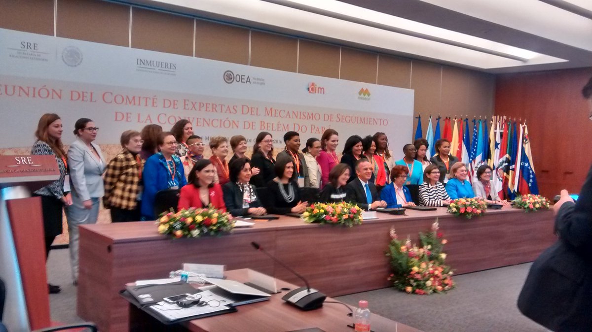Comité de Expertas internacional expresa preocupación por posible retroceso en proyecto de aborto en Chile