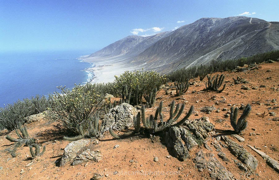 Indígenas que habitaban en el norte navegaban mar adentro miles de años antes de lo que se pensaba