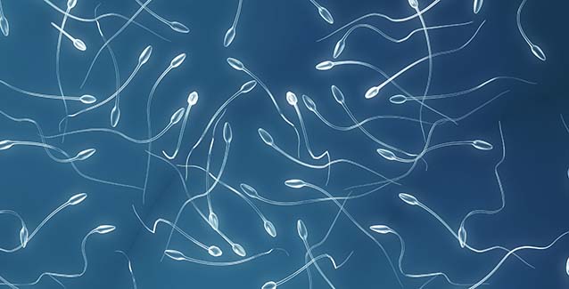 Nuevo gel anticonceptivo masculino ha probado ser 100% efectivo en primeras etapas de prueba