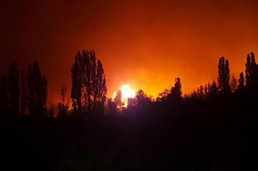 Incendio Forestal afecta a 40 viviendas en Parral