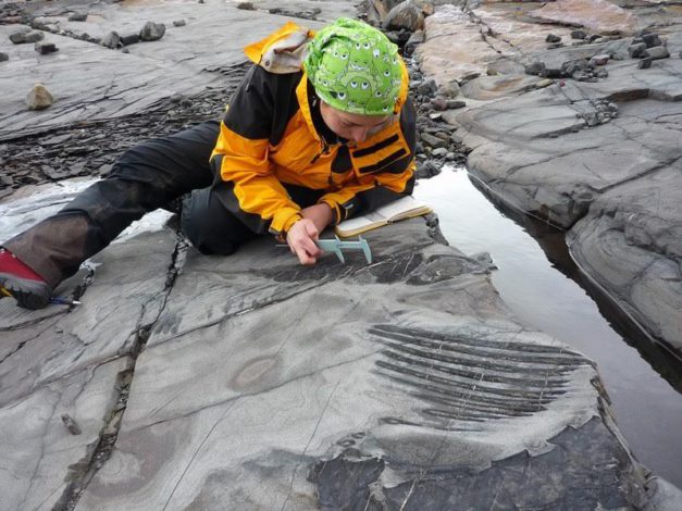 Paleontóloga chilena halla fósil de ictiosaurio en trabajo de parto, en Parque Nacional Torres del Paine