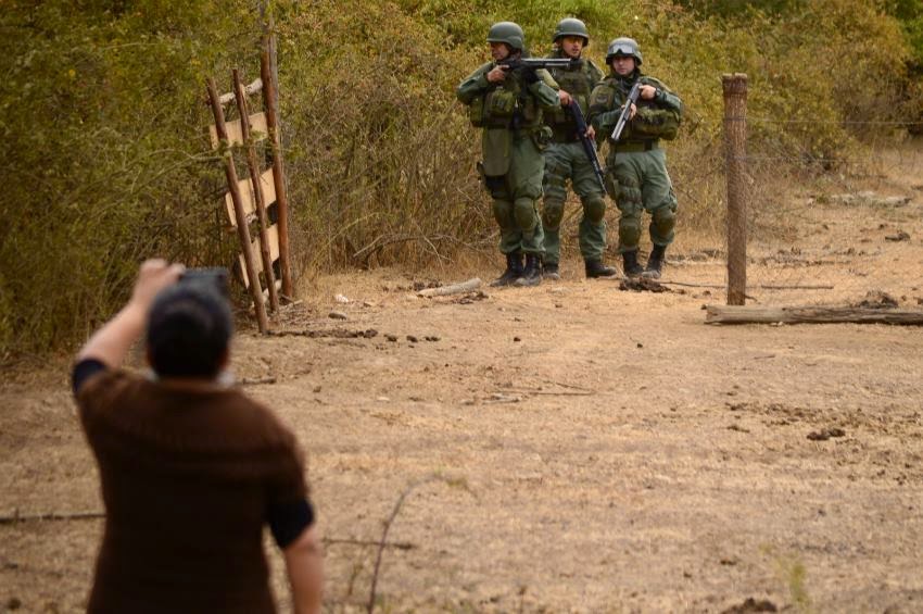 El conflicto forestal y la violencia hacia la infancia mapuche