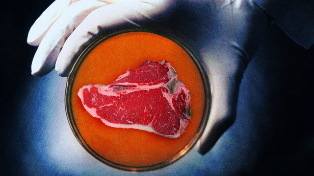 ¿Es posible comer carne sin matar animales?