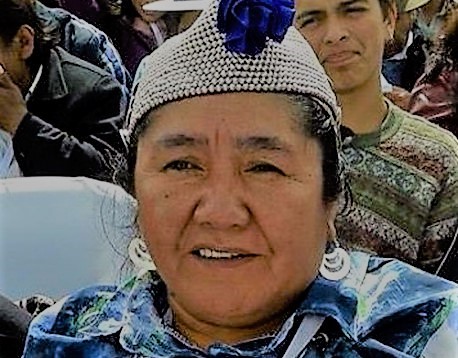 Dirigenta mapuche Ana Llao y posible diálogo con el Gobierno: «Debe hacerse cargo del contexto histórico y político, con mirada de derecho»