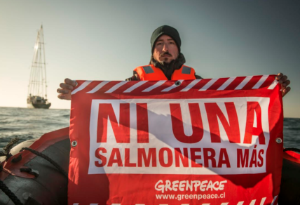 11.000 personas visitaron buque emblema de Greenpeace , el Guerrero Arcoíris se despide de Chile