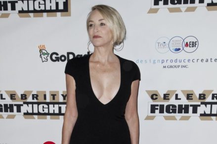 Sharon Stone y sus atractivas fotos a sus 59 años