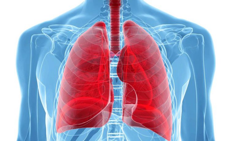 Científicos descubren otra función de los pulmones