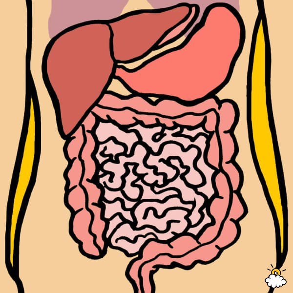 9 dolores abdominales que indican que algo está mal con tu cuerpo