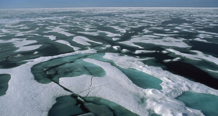 China: Expertos advierten de una fuerte reducción del hielo marino del Ártico