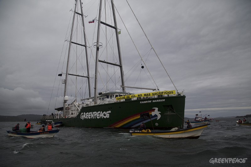 Greenpeace advierte: «El crimen en las costas de Chiloé ahora se propagará a Magallanes»