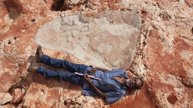 Miles de huellas de dinosaurios se confirman en Australia, en uno de los mayores trabajos paleontológicos del mundo