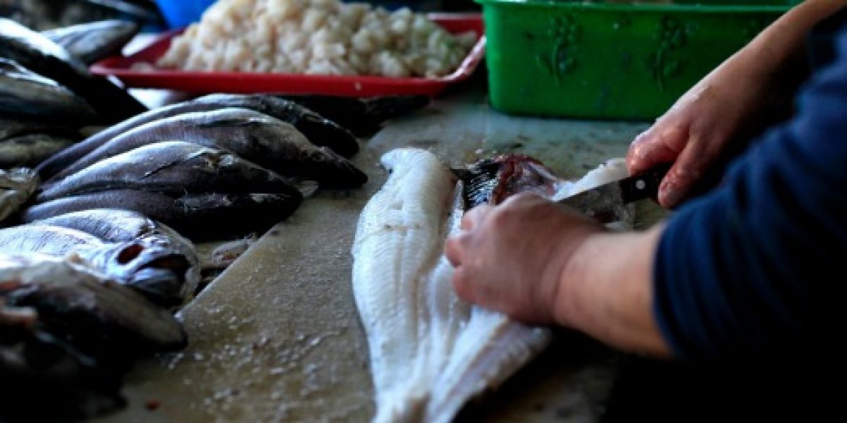 Semana Santa: Estudio detecta hasta un 190% de diferencia en el precio del kilo de merluza