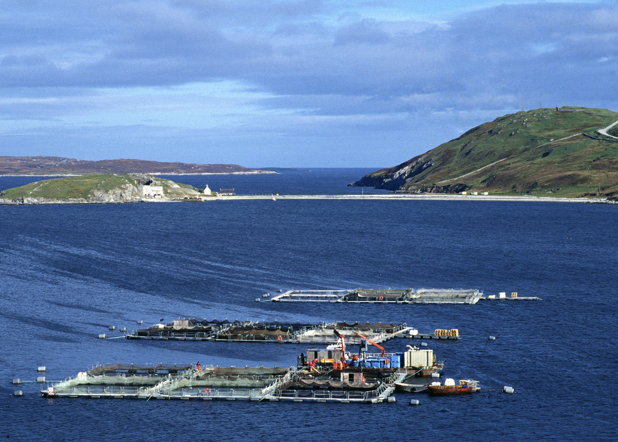 Greenpeace denuncia silenciosa amenaza de los “guetos submarinos” en Magallanes