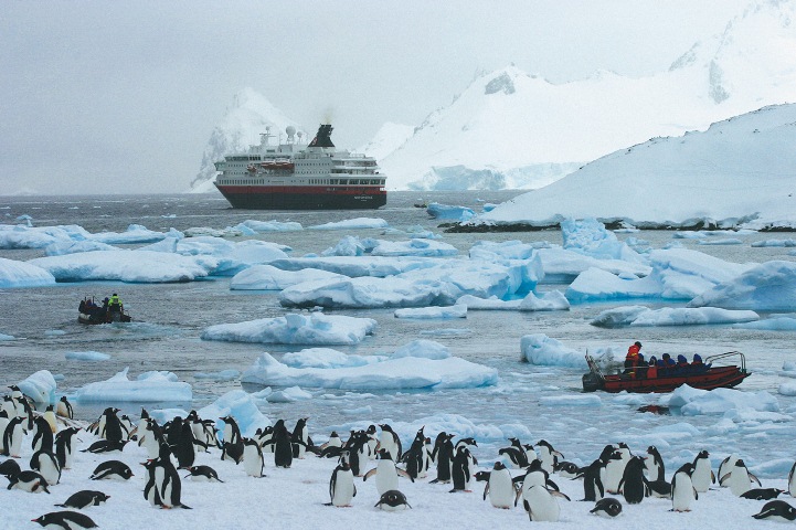 El turismo, la sobrepesca y la contaminación están afectando seriamente la biodiversidad en la Antártida