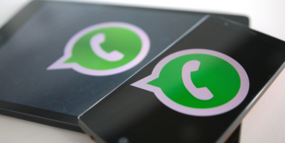 Estas son 5 cosas que WhatsApp revela de ti a todo el mundo y que no sabías