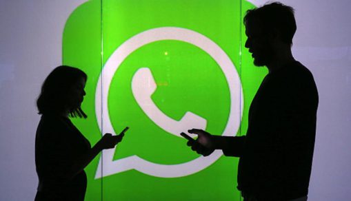 WhatsApp: ¿Te llegó el mensaje de que van a sacrificar a 236 perros?