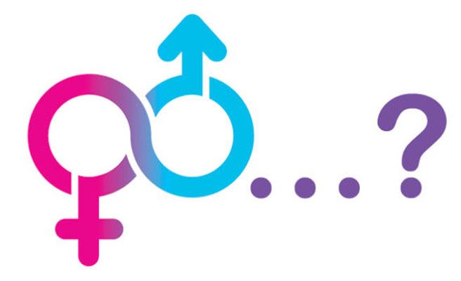 El Gobierno portugués propone dar reconocimiento civil a los intersexuales