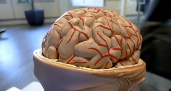 Nuevo estudio en personas con una sola mano pone en duda lo que se sabía de la organización cerebral