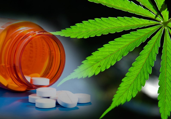 Marihuana: Nuevo estudio confirma que la legalización reduce los casos de adicción a los opiáceos