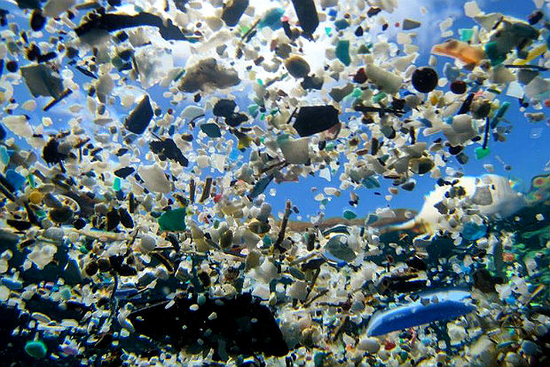 México asume la batalla contra la contaminación por plásticos en sus mares
