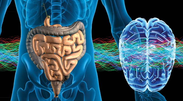 Tres formas en que los intestinos se conectan con la salud mental (y cómo mejorar esa relación)