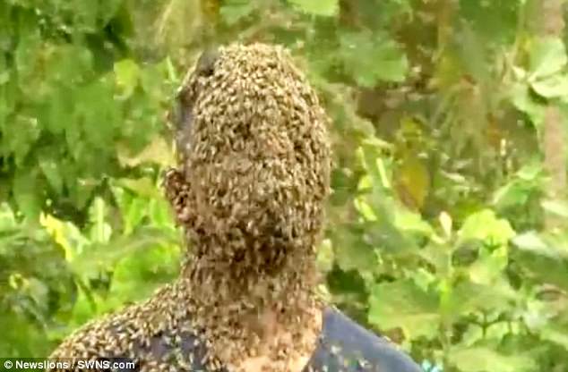 Hombre cubrió su rostro con 60.000 abejas y sobrevivió para contarlo