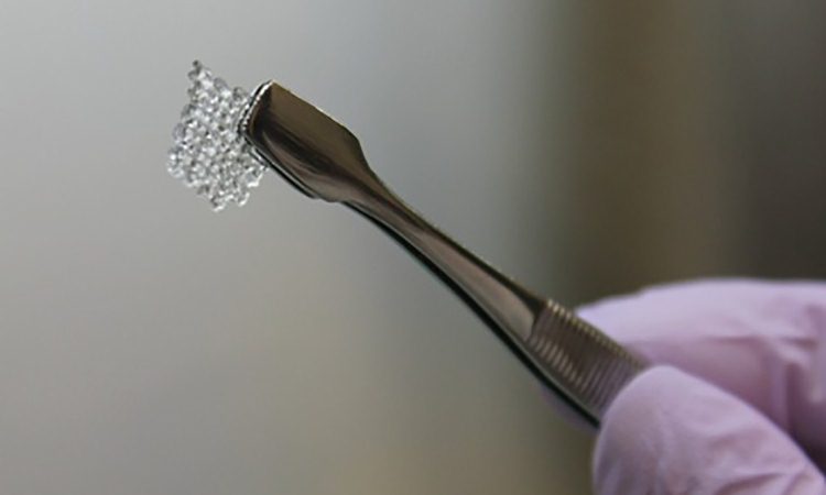 Ovarios artificiales impresos en 3D son probados con éxito en ratones infértiles