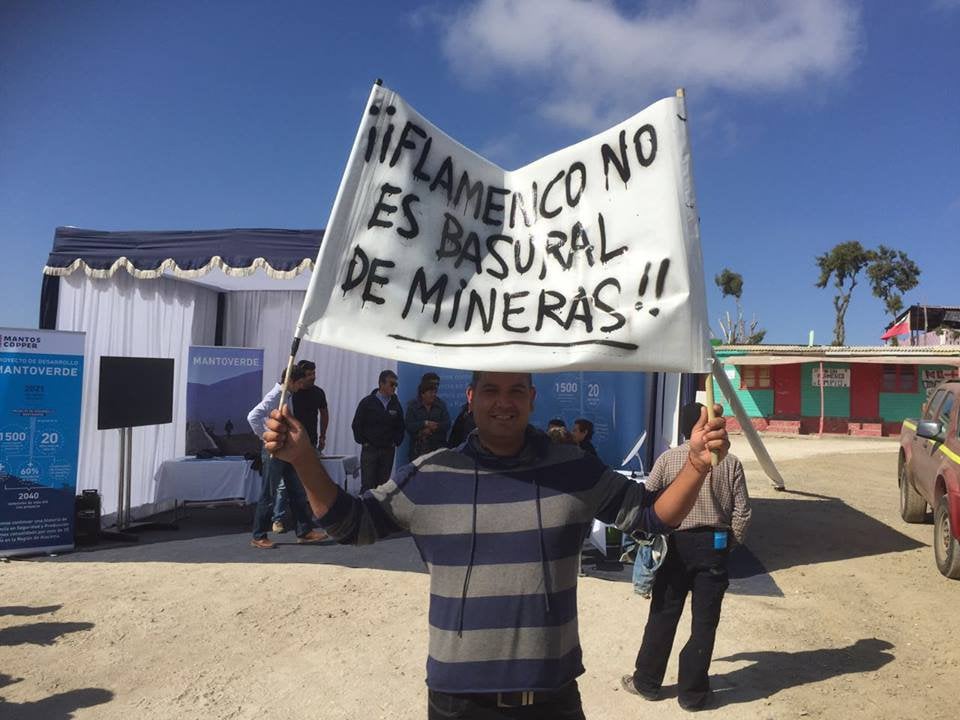 Flamenco se levanta: Denuncian a minera por destrucción del ecosistema en caleta de Atacama