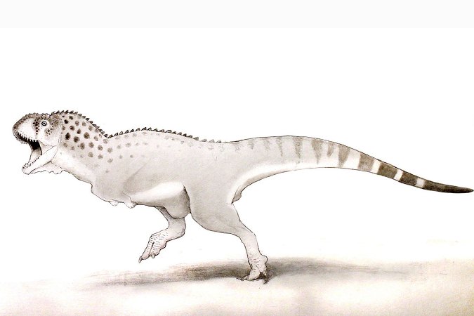 Hallan restos de una especie de abelisaurio en Marruecos -el equivalente africano del T. Rex