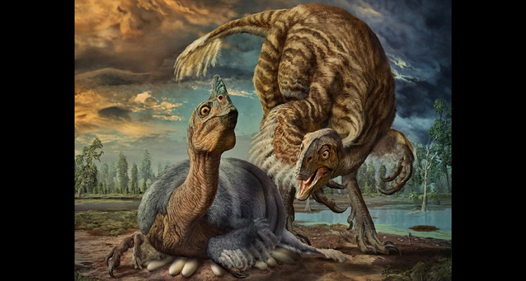 Famoso embrión de dinosaurio era una especie de gigantesco «dino-ave» recién identificado