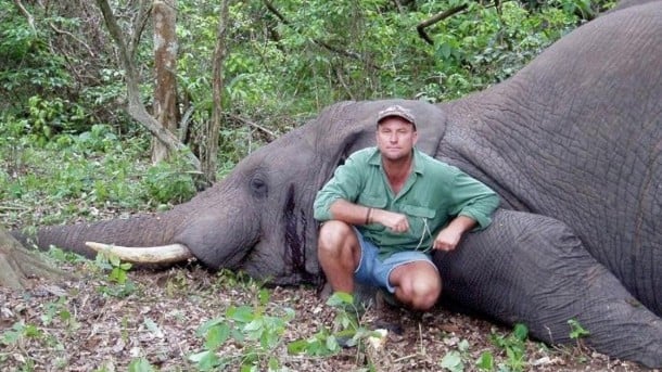 Cazador muere bajo el peso de un elefante al que habían herido de bala