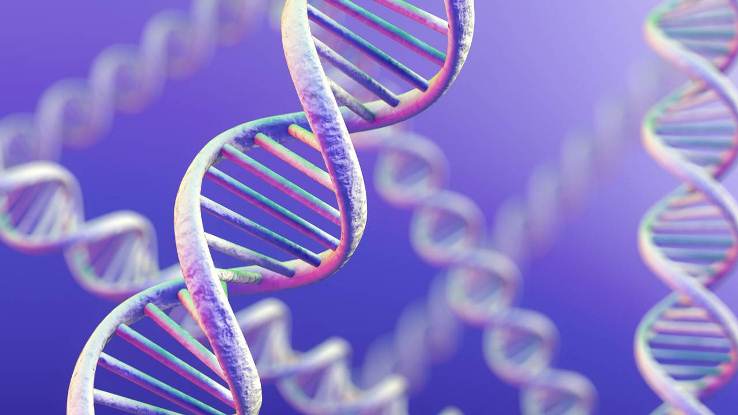 Científicos descubren 40 genes vinculados con la inteligencia