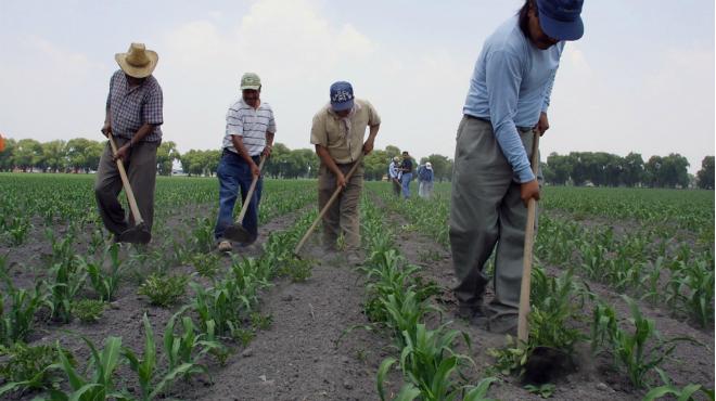 México: Denuncian desaparición de 80 indígenas campesinos en Chihuahua