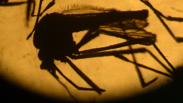 Brasil declara el fin de la emergencia causada por el virus Zika