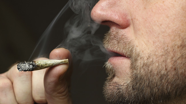 Fundación Paréntesis descarta que la marihuana sea la puerta de entrada a otras drogas