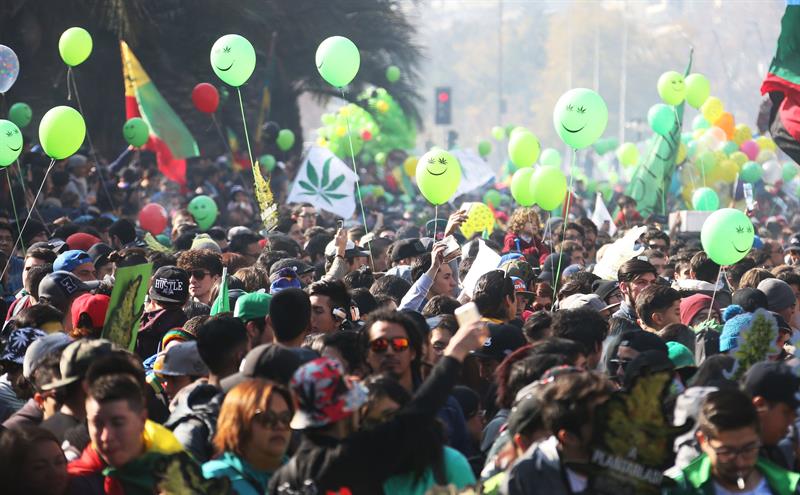 Santiago: Miles de personas marchan a favor del autocultivo y libre uso de la marihuana