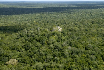 Centroamérica: Narcotráfico es responsable del 30% de la deforestación en zonas protegidas