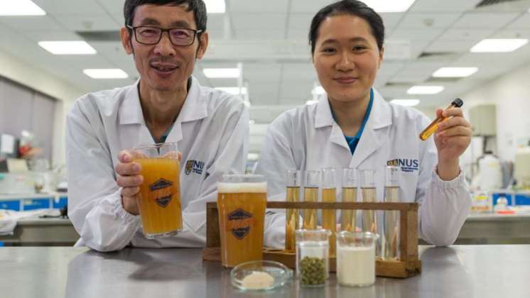 Científicos crean la primera cerveza con probióticos