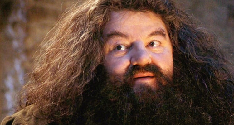 Esta teoría de Harry Potter cambiará la visión que tenías sobre Hagrid: es más poderoso de lo que crees
