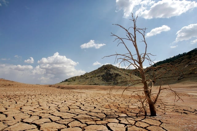 España: La desertificación avanza por el 70% del territorio del país