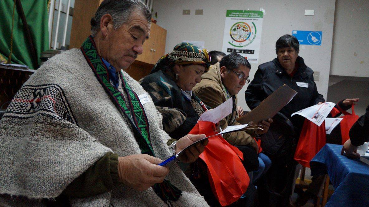 Estas son las fechas de encuentros para Consulta Indígena en la Región de Los Ríos