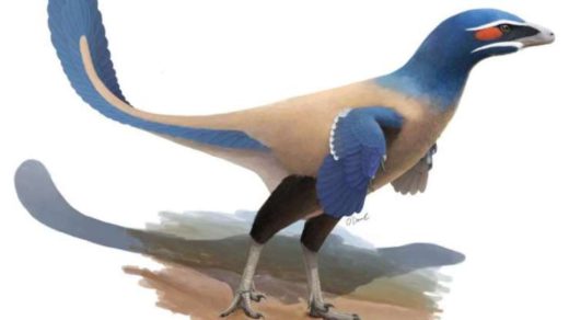 Este dinosaurio emplumado merodeó tierras canadienses hace 71 millones de años