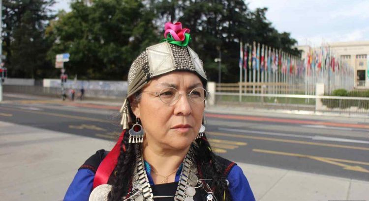 Flor Calfunao Paillalef: La resistencia de una representante mapuche en Ginebra